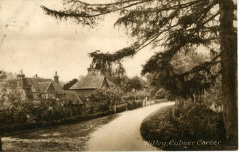 Witley Culmer Corner postcard, front